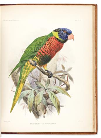 (BIRDS.) Philip Lutley Sclater; and Joseph Smit. Report on the Birds Collected During the Voyage of H.M.S. Challenger